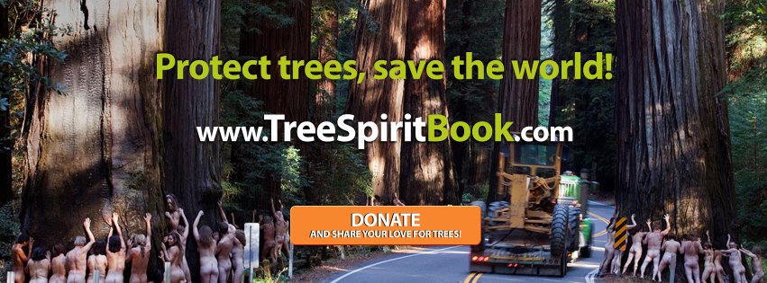 TreeSpiritEvent tweet picture