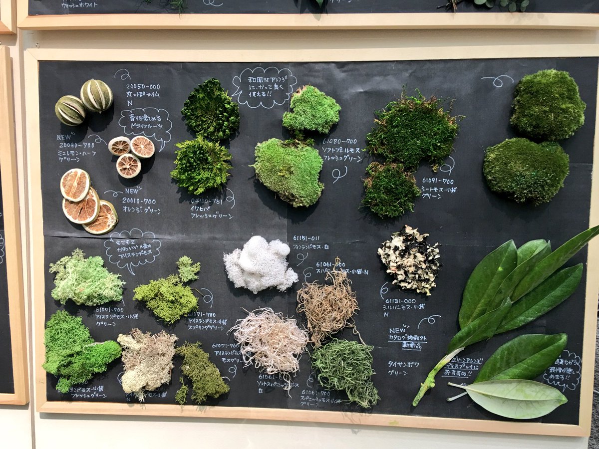 ドライフラワーの見本市に、新しい樹木用のドライフラワーを見つけに