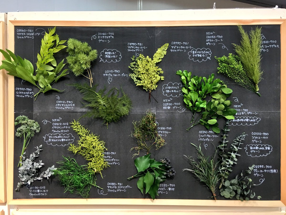 レモン画翠 Auf Twitter ドライフラワーの見本市に 新しい樹木用のドライフラワー を見つけに行きました どんな縮尺にも使えそうな新しい植物や 欠品していた人気植物も復活していたので 来月の上旬にはレモンの4fに入荷されるかもしれません お楽しみに