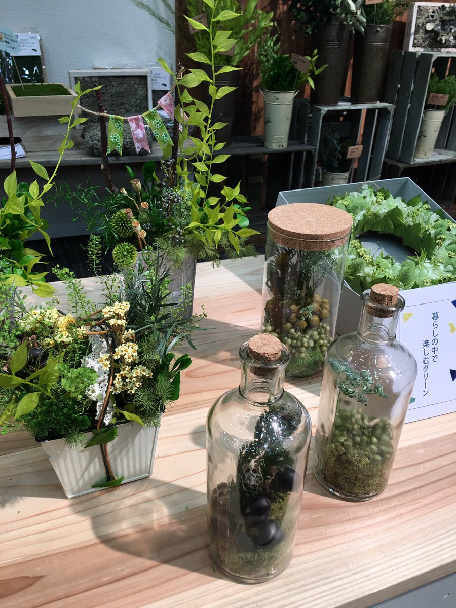 ドライフラワーの見本市に、新しい樹木用のドライフラワーを見つけに