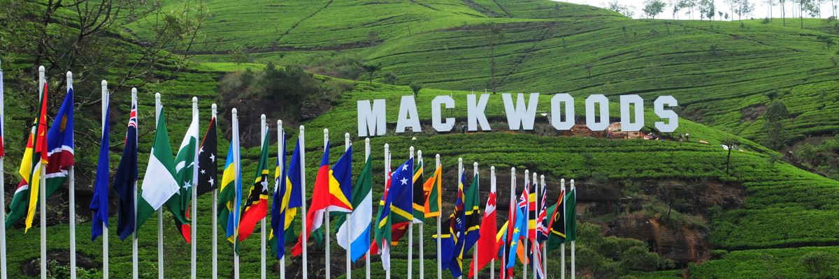 tourismlk's tweet photo. wanna sip the real taste of tea…Isn't "Mackwoods " the most apt place for it??
#visitsrilanka #Ceylontea #Mackwoods https://t.co/WF9JXQbegG