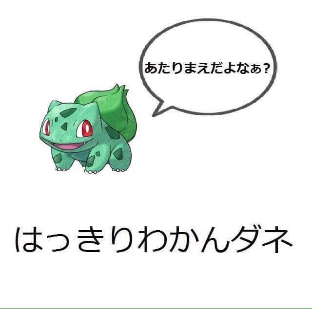 鶏人 まぁ許すわ って観葉植物が言ってるのがおもろすぎる 鶏人 まぁ許すわ って観葉植物が言ってるのがおもろすぎる