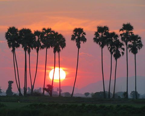 MyanmarAgent's tweet photo. #Countrysidesunset #Myanmar #Comeandsee
#SagaciousMyanmarTravels https://t.co/EFt7fzrpJ0