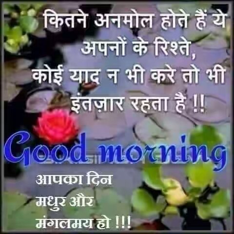 NaviSid27573892's tweet image. #FunSessionWithFDD
@Gurmeetramrahim