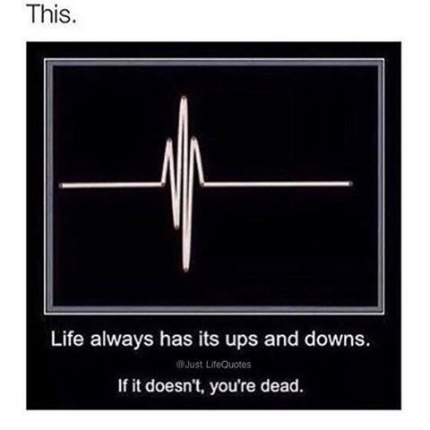 FindDailyQuotes's tweet image. 