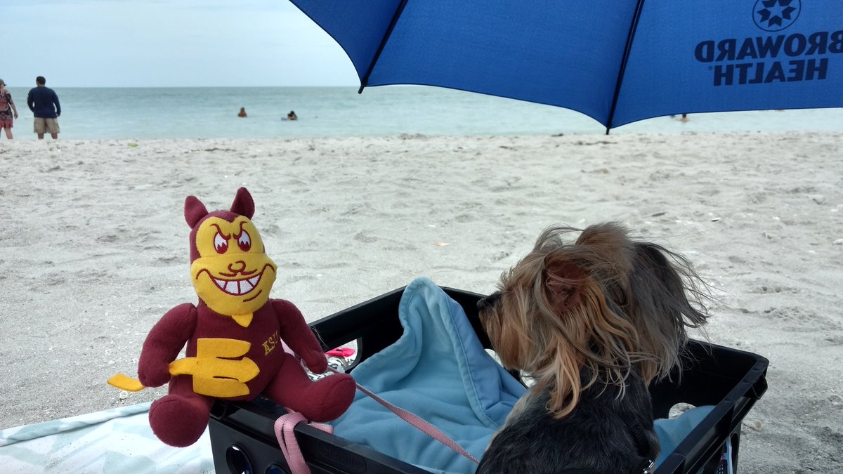 mguezmir12's tweet photo. Check out my Sun Devil swagger! I posted a photo to #DevilDogDays #SunDevilRewards #Sponsored https://t.co/SKxfR8V9NQ