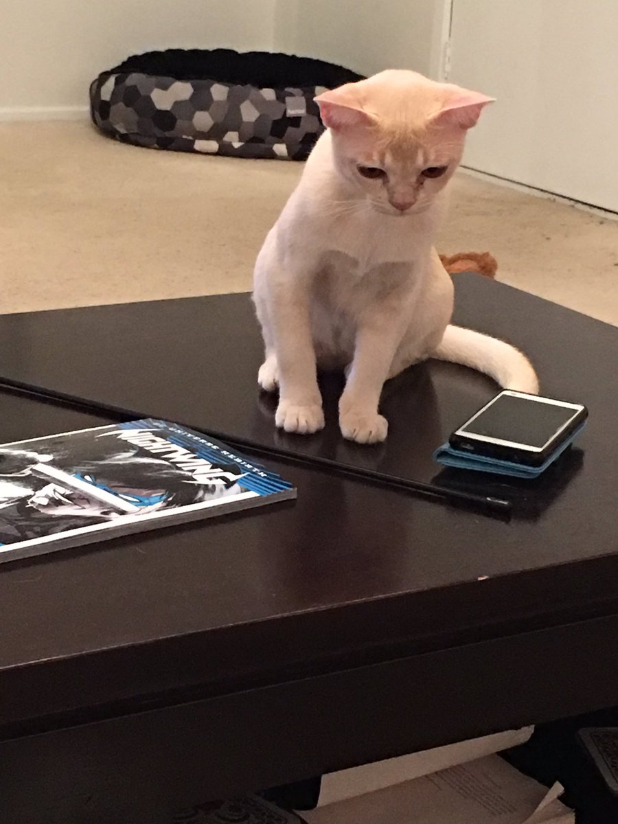 KingCharlieCav's tweet photo. She is not as sweet and innocent as she looks....trust me https://t.co/C0VBOKYbMU