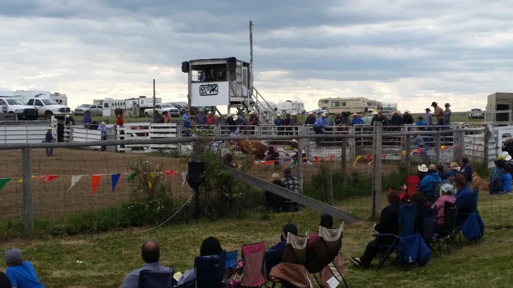 Page__Newton's tweet photo. Bull riding wrapping up @ Sandhill Rodeo @abbey_sask Thx to sponsors, contestants & volunteers! #cca rodeo #gr8time https://t.co/teUp52YyW3