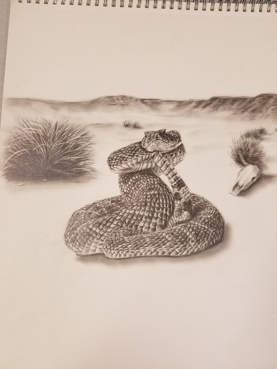DrawingWithK's tweet photo. Finished my snake! Im not very pleased with how it turned out though :/ https://t.co/R7yZP6nepj