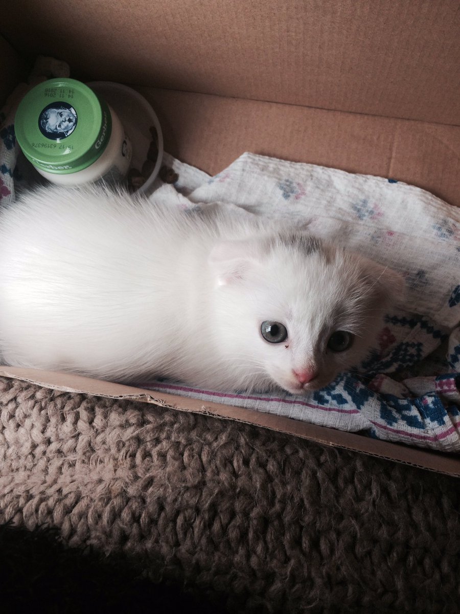 krisys666's tweet photo. Мои страдания окупились😻 https://t.co/bUU4iHntk5