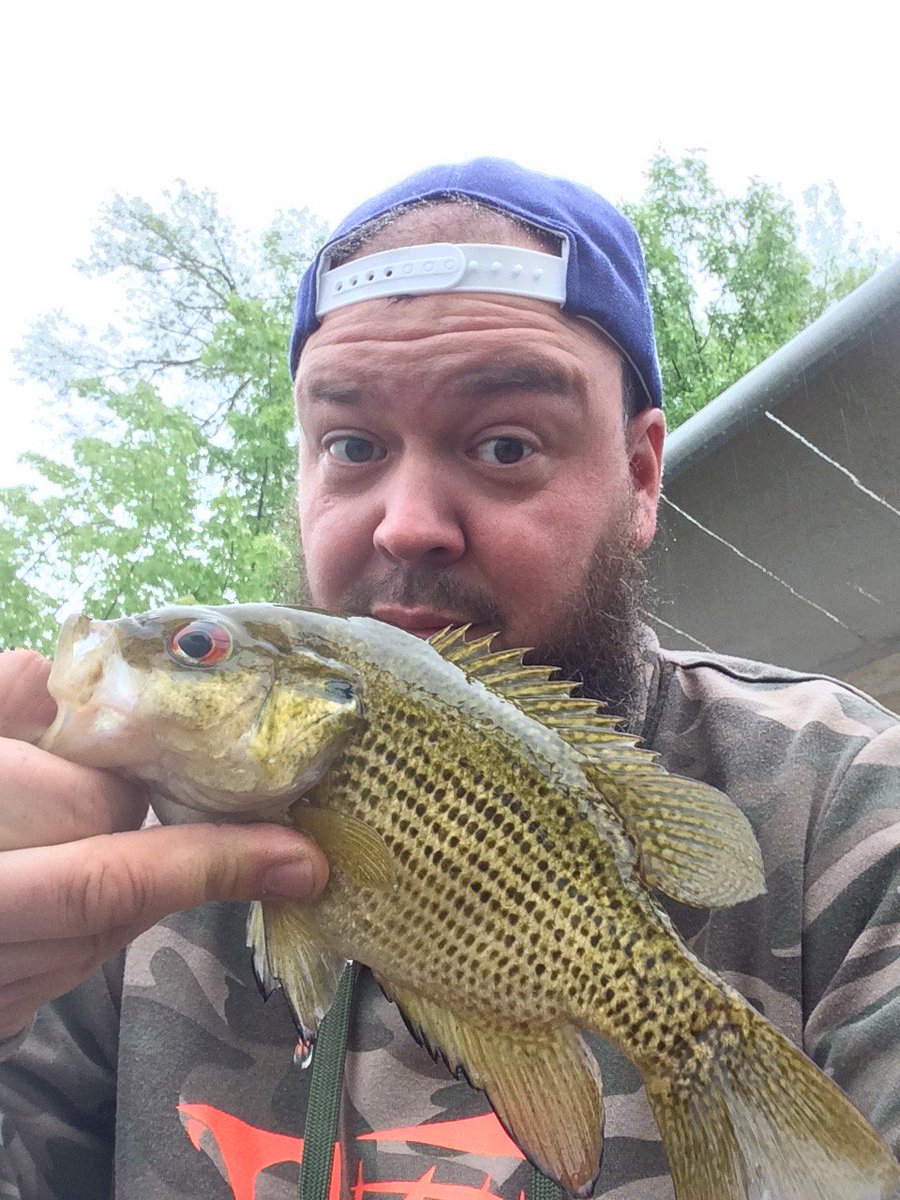 When you can't catch real bass yet you hammer rock bass off the dock  🐟