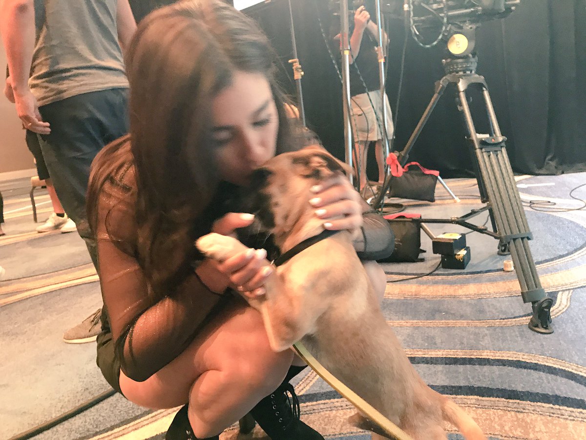 iHeartRadio's tweet photo. Let's be real, the star of #iHeartSummer17 was LEO! #iHeartLeo @LaurenJauregui https://t.co/EAFtFBprqy