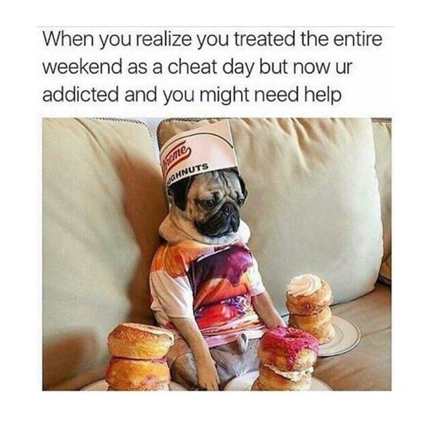 GetFitByNik's tweet photo. True life right now 🤷🏽‍♀️ #help https://t.co/WjFQ5c3P8U