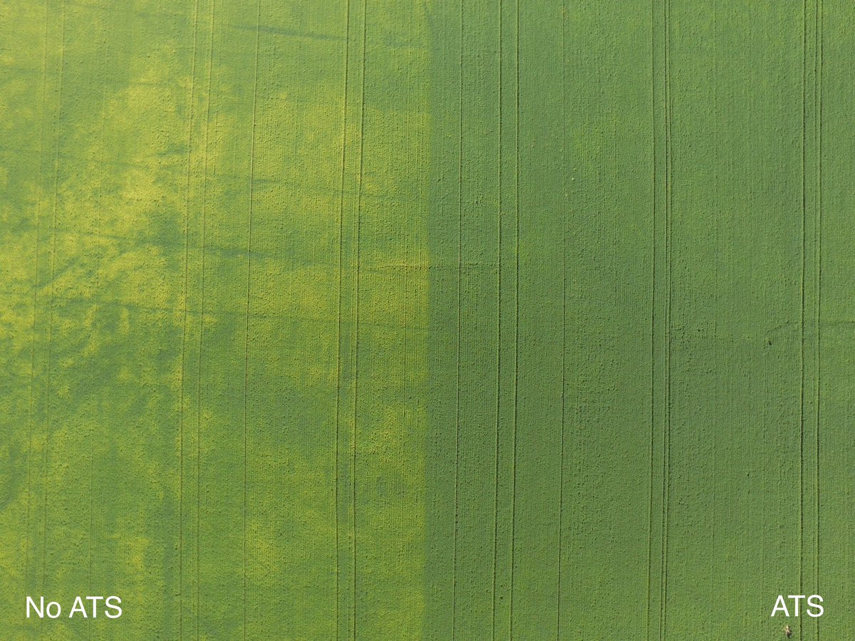 Chris Olbach tweet media