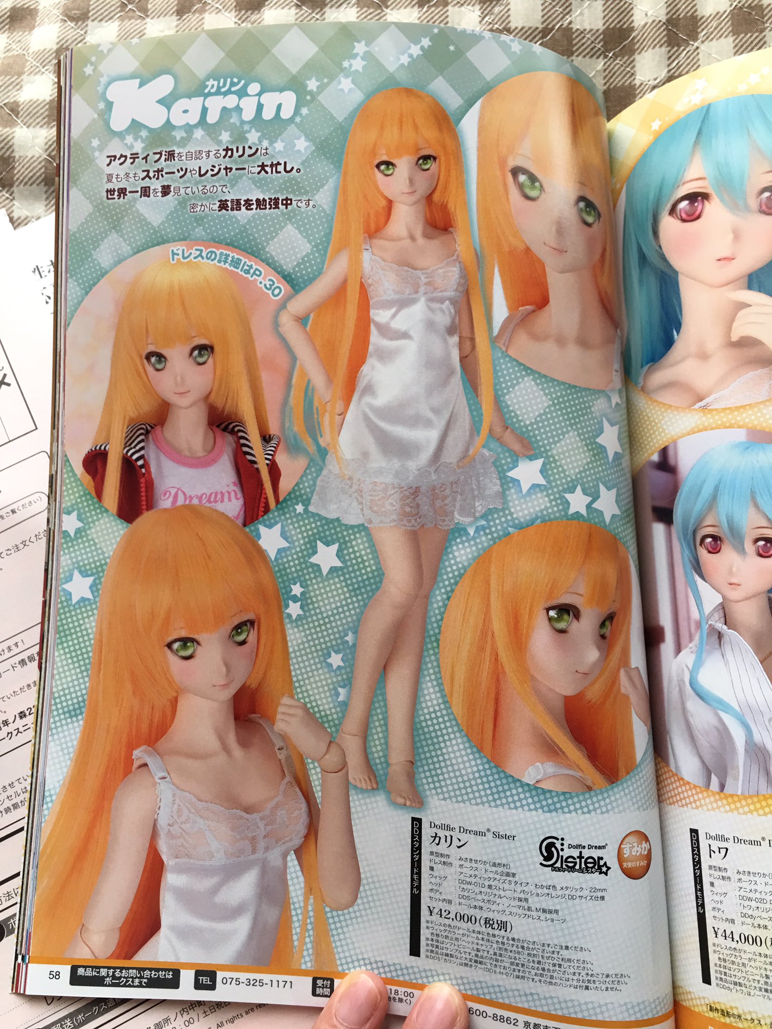 DDdy、トワ、スタンダード、本体 （DDdy、トワ、スタンダード、本体 