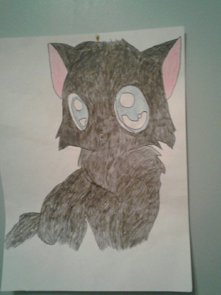 AriaStrawberry's tweet photo. This is my drawing of a Black Cat https://t.co/VvFFuwmaeP