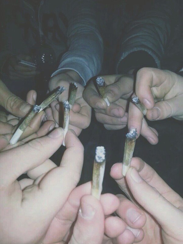 DankLounge tweet picture
