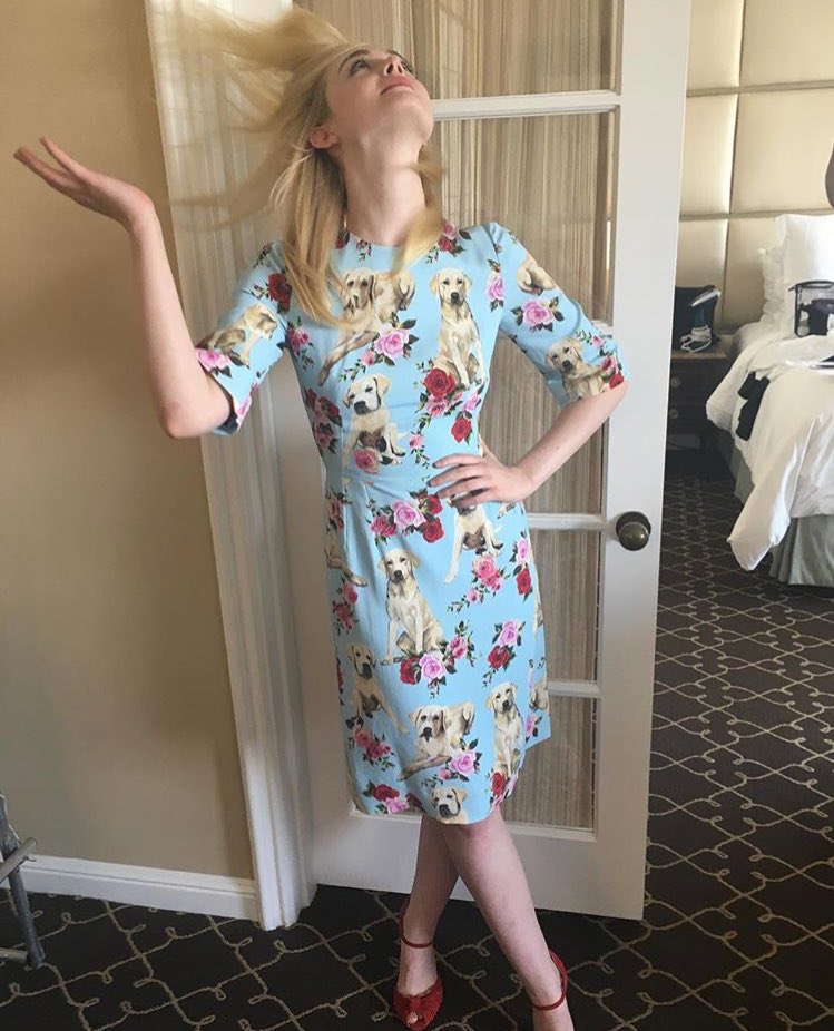 EllisonHarkness's tweet photo. Yes my dress has dogs on it https://t.co/OEhYEq91T6