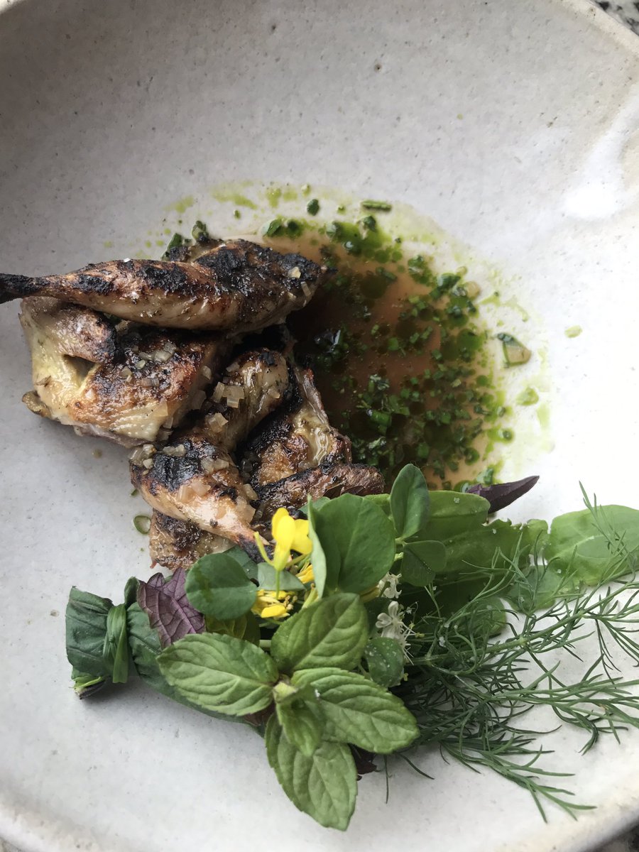 DeRushaEats's tweet photo. Most beautiful plates, most underrated place: @heydaympls. Order everything in sections I and II of the menu. Great service tonight too. https://t.co/ZBoHcPbmZO