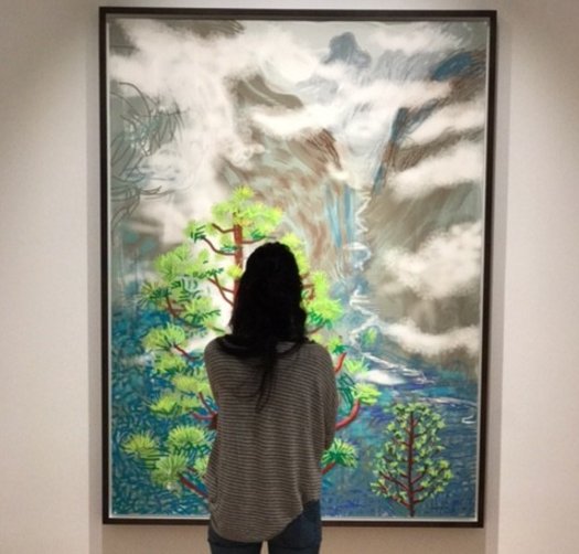 Indiegogo's tweet photo. Select and purchase your art work and pick a cause to support  in this new digital art experience: https://t.co/d8IGHRc4bx https://t.co/gqhiiewtS2