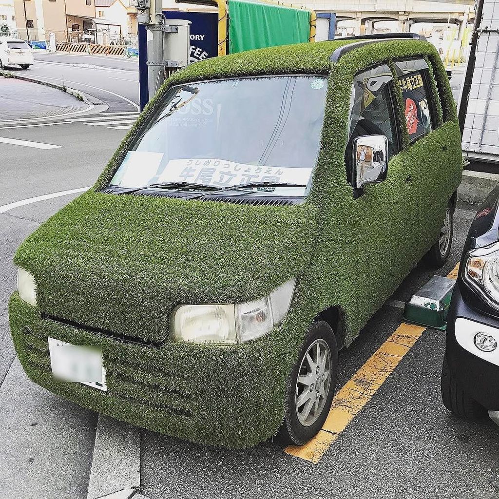 芝生の車