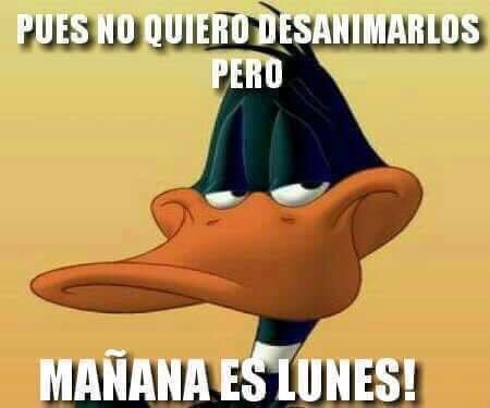 elruidosomx's tweet photo. No es por ser negativos!!
#ADondeVamosAParar #NetaQueFeoQue #Buenasnoches #DomingoDeGanarSeguidores https://t.co/m9dwRE5DYz