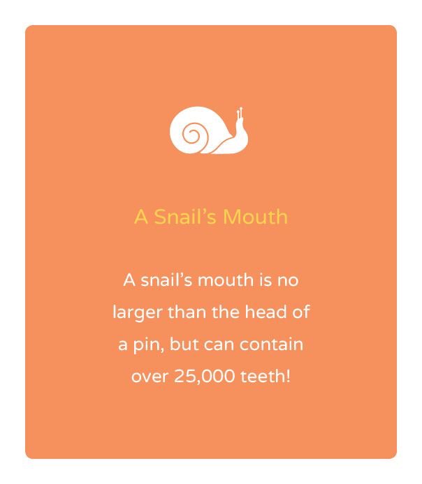 Nishan Dixit tweet media