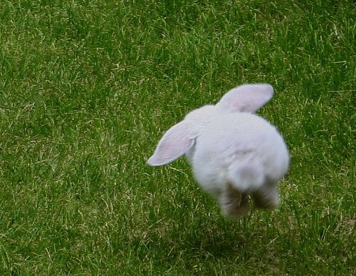 kookiesmolbunny's tweet photo. it is what it is https://t.co/bDXamxTE4D