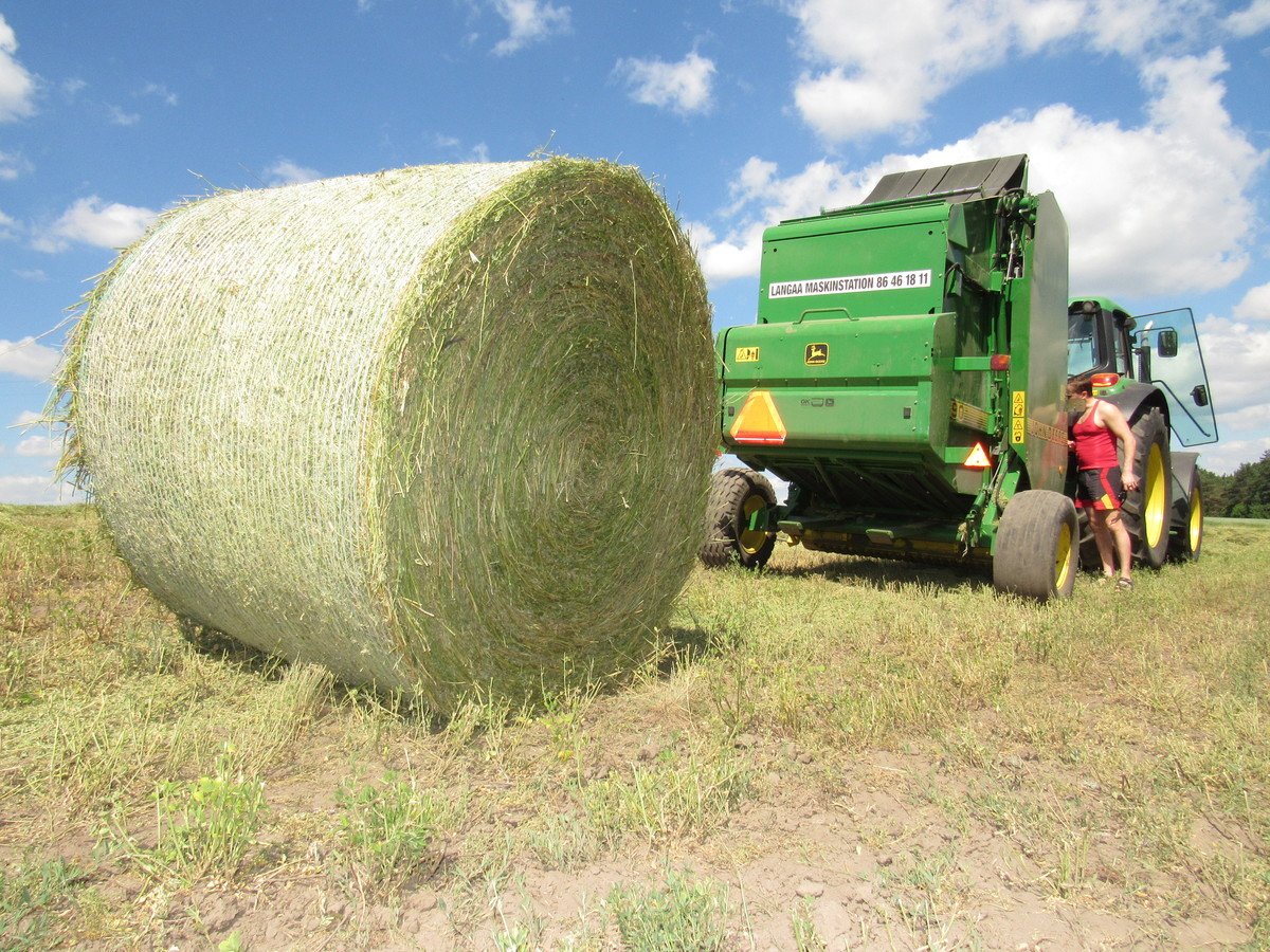 TriDaAgro's tweet photo. В #TriDaAgro Пресс подборщик рулонный John Deere 590 (1999)👍
подробнее здесь: 👉 https://t.co/Nuvjet8kwt https://t.co/dF00zAiHzL