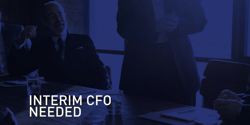 Image result for interim cfo
