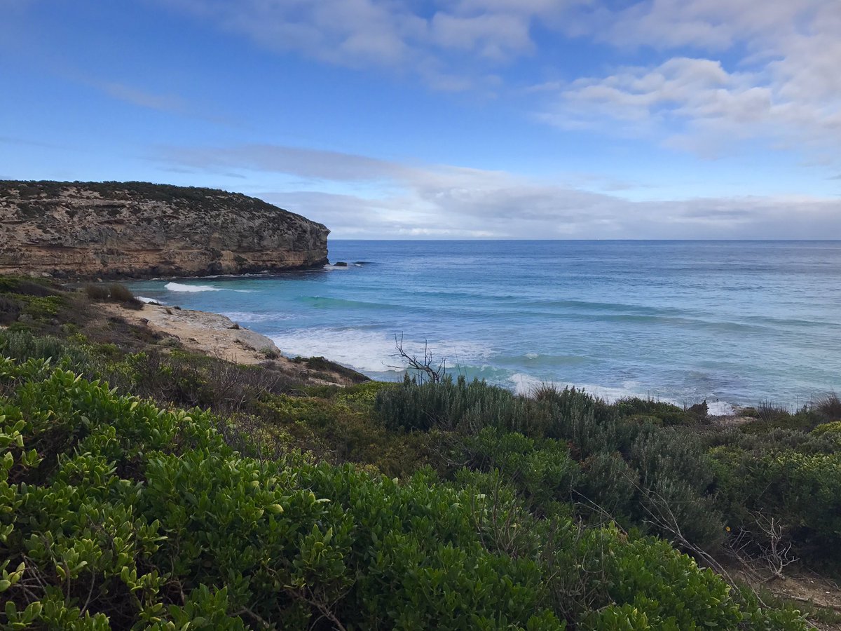 Lel Smits (@lelsmits) on Twitter photo For more secluded, hidden gems like this put #KangarooIsland on your bucket list | <a href="/kangaroo_island/">Kangaroo Island</a> <a href="/southaustralia/">South Australia</a> <a href="/tourismsa/">South Australian Tourism Commission</a> #SAGreat For more secluded, hidden gems like this put #KangarooIsland on your bucket list | <a href="/kangaroo_island/">Kangaroo Island</a> <a href="/southaustralia/">South Australia</a> <a href="/tourismsa/">South Australian Tourism Commission</a> #SAGreat