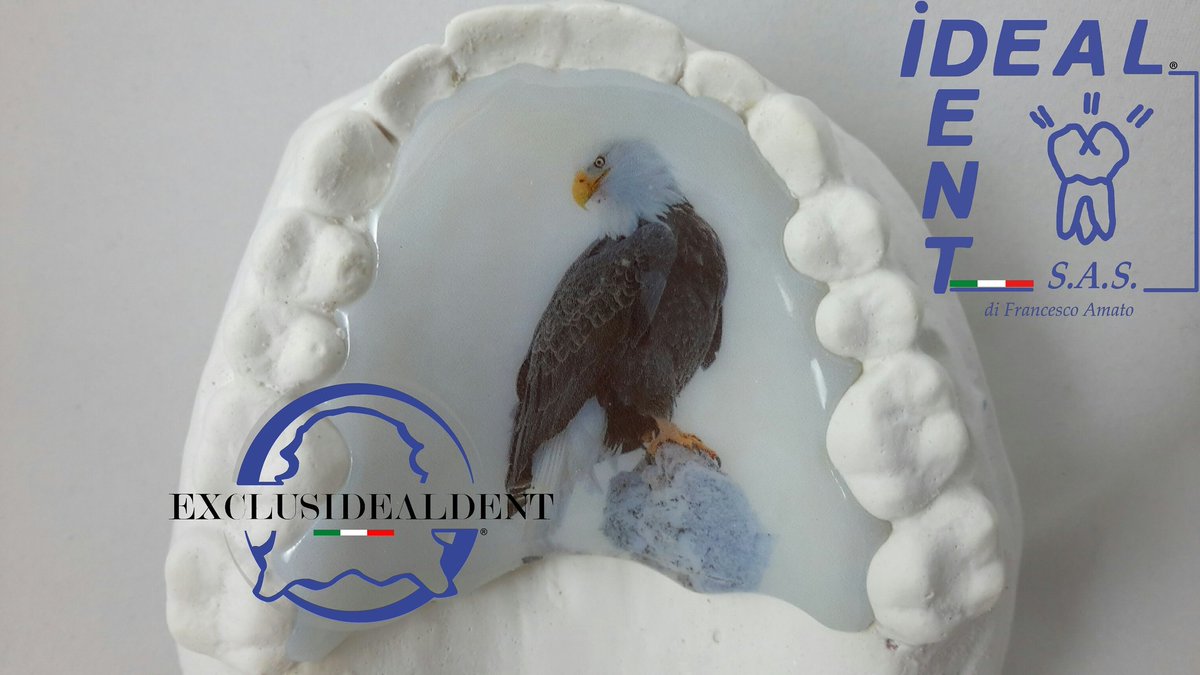 idealdent1's tweet photo. L'aquila vola in alto e in solitaria!
#EXCLUSIDEALDENT #IDEALDENT #ortodonzia #ortodonziapersonalizzata #denti #dentisti #dentistry #dentist https://t.co/AWgJfH1I7x