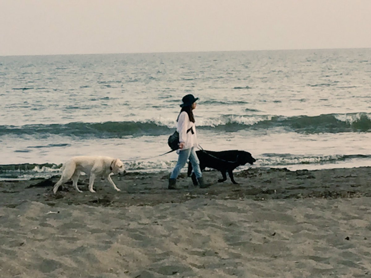 43synchronicity's tweet image. 昨日のおまけ。

#photographer 
#写真で伝えたい私の世界
#サブカルチャー
#写真好きな人と繋がりたい 
#写真撮ってる人と繋がりたい
#写真
#しゃしん