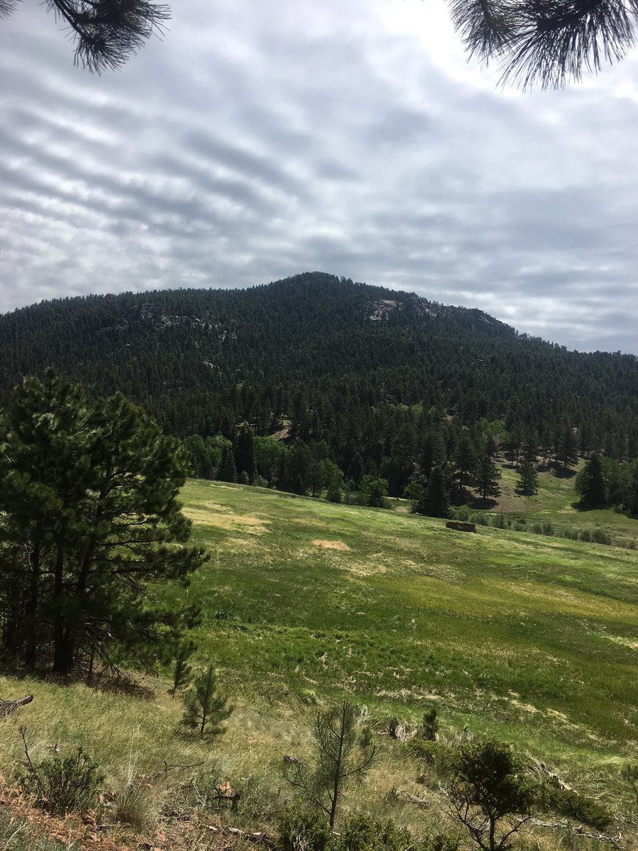 annapotthoff's tweet photo. Colorado is so incredibly beautiful and i'm in love with it 😍❤️☀️🌲 https://t.co/6ElWxSyYcC