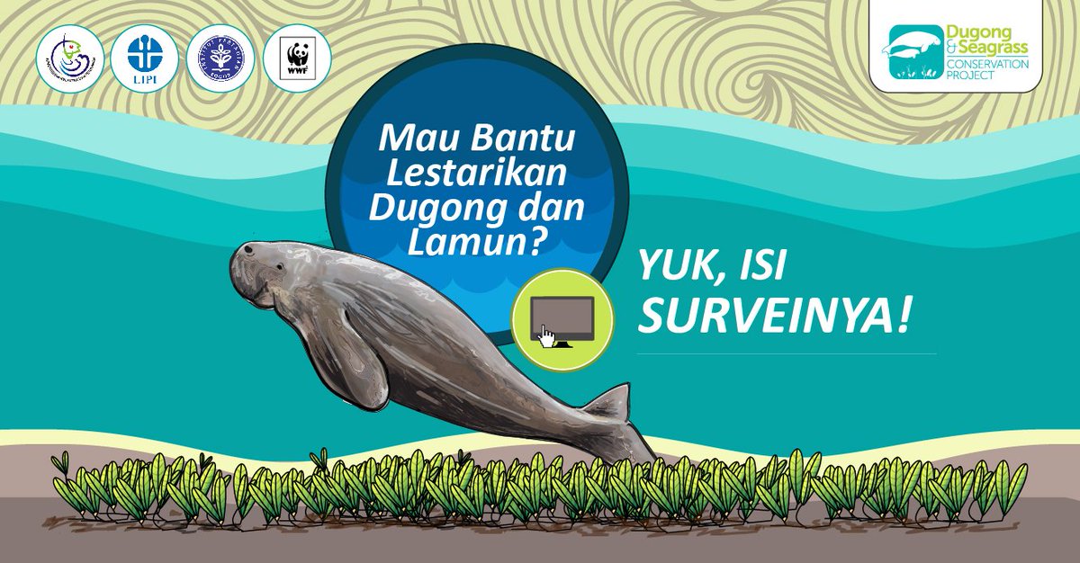 Yuk, bersama-sama lestarikan dugong dan habitat pakannya, yaitu lamun di Indonesia. Isi Surveynya di sini:  surveymonkey.com/r/surveidugong