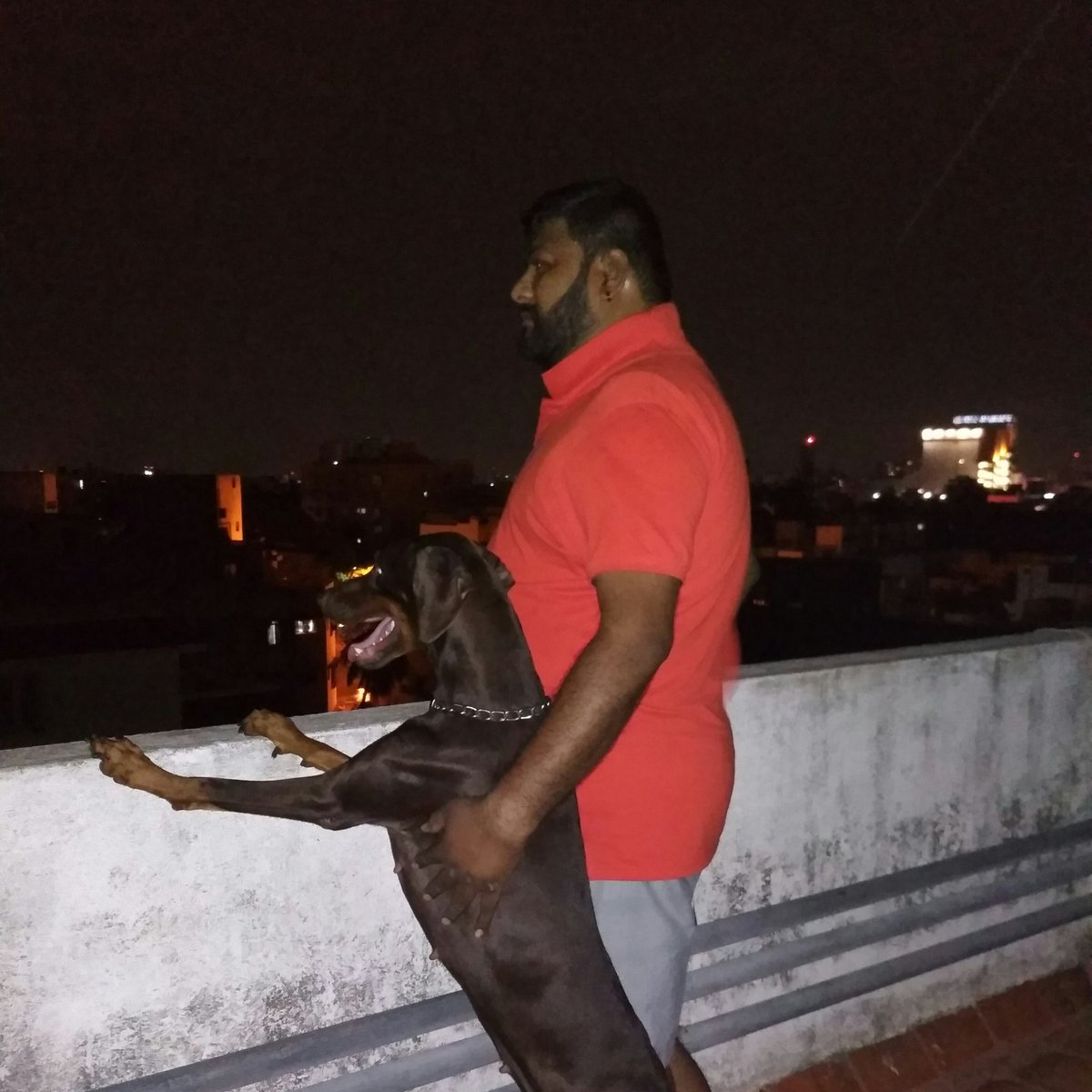 ViSignature's tweet image. #NewProfilePic