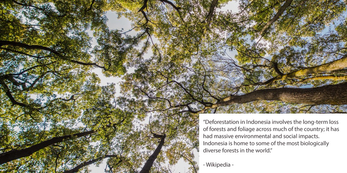 UtamaSpice (@utamaspice) on Twitter photo 