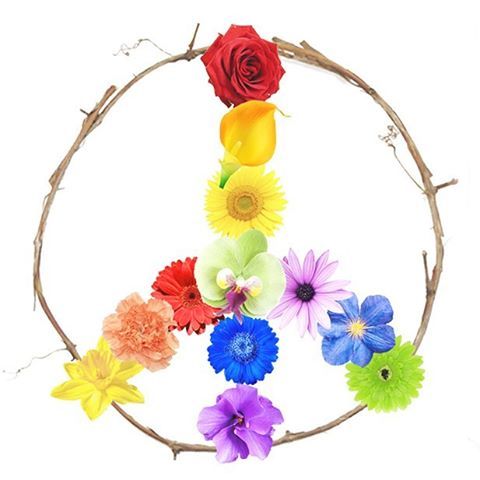 royallyrealME's tweet photo. Tomorrow marks the one year anniversary of the horrific events in Orlando, Florida. Lives changed forever. #PrayersForOrlando #OrlandoStrong https://t.co/87Uj6vNsNx