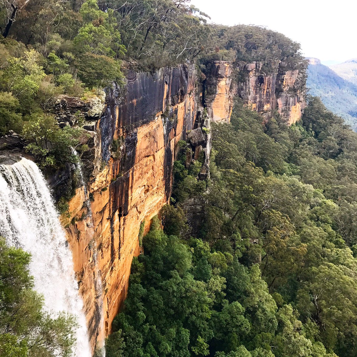 Hiking 👣 #travel #australia #waterfalls #adventure 
#travelblogger #discoverglobe #natgeotravel #nature #doyoutravel  #earthfocus #nomad