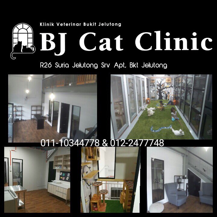 Afif Kamal On Twitter Bjelutong Announcing New Vet Amp Hotel For Cats In Vicinity Ground Floor Block B Of Suria Jelutong Https T Co Gwo992vqax Twitter
