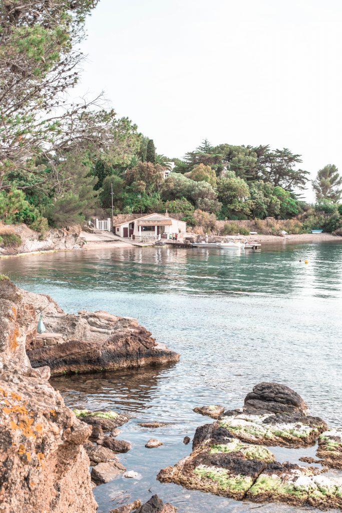 EsterelCoteAzur's tweet photo. [ Blog ] #Agay et le Lac de Saint Cassien, les jolies découvertes de @abirdyworld © A lire sur ➡️ https://t.co/iv2kOjtGoQ #VisitEsterel https://t.co/Mmt6UW1I4N