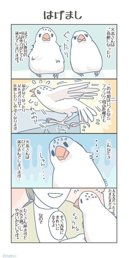 文鳥さんあるあるシリーズ等