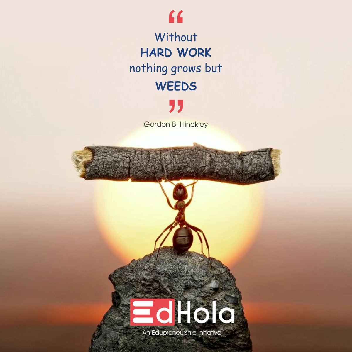 EdholaOnline's tweet photo. There are no shortcuts to hard work.There ain't no substitute for one.
Without hard work,nothing grows but weeds.
Gordon B. Hinckley
#Edhola https://t.co/LB3rcyDZoM