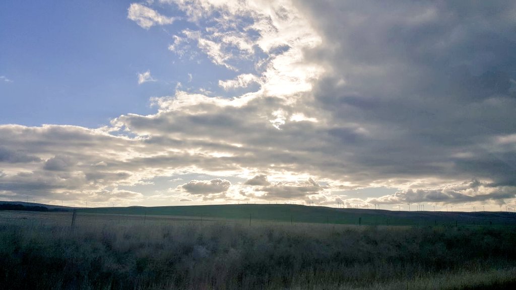 RhiannonCreasey's tweet photo. South Australia countryside is lovely #homeisfamily https://t.co/fSL1sNxejG