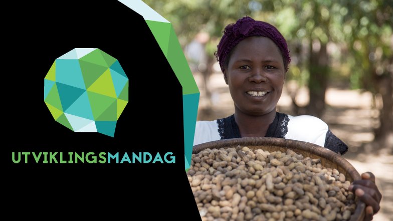 DevelopmentFund's tweet photo. #Utviklingsmandag i dag kl 17: Jobber til ungdom i Afrika. Med @ToneSkogen @KjerstiAass @johanhermstad @THM08 @parta https://t.co/1Wz0tH2RKl https://t.co/BX6yZPtAk9
