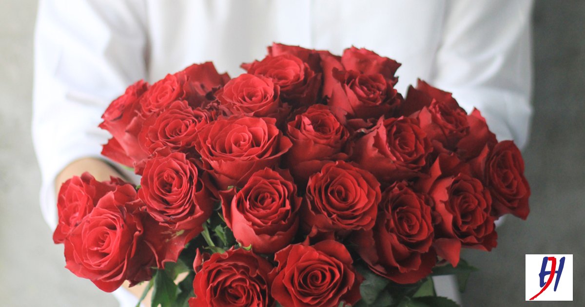 Een speciale dag voor rode rozen! Achter elke roos zit een bijzonder verhaal. Wat is die van jou? #jouwbijzondereverhaal #roderozen