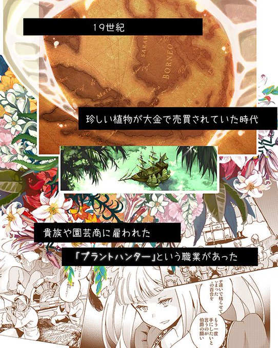 アルボスアニマのtwitterイラスト検索結果 アルボスアニマのtwitterイラスト検索結果