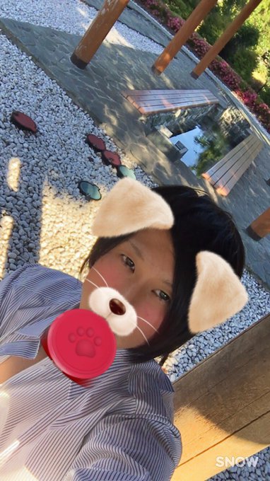 凸激者あっきーさん の人気ツイート 1 Whotwi グラフィカルtwitter分析