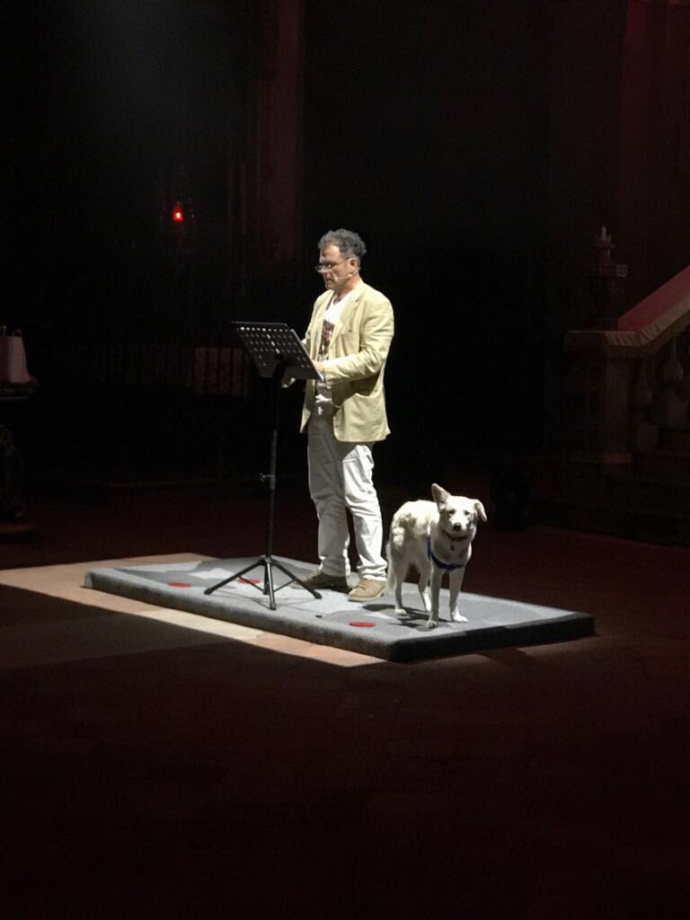 Pino Quartullo (@pquartullo) on Twitter photo 