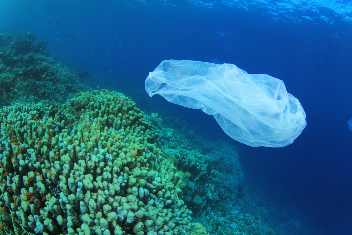 WOWscienceio's tweet photo. #New #bacteria that feeds on #plastic reduces #ocean #waste! #environment #Earth https://t.co/k8p4Z3BeRU https://t.co/g0CSqgJbkt